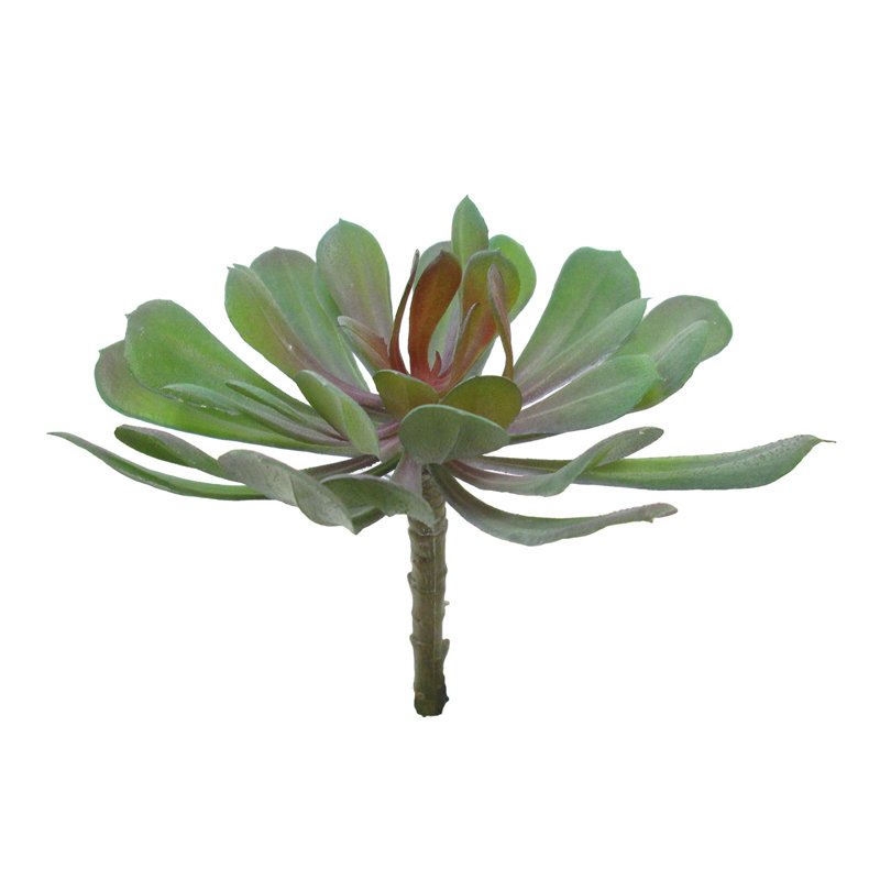 Plante grasse artificielle 6 po Aeium Lotus
