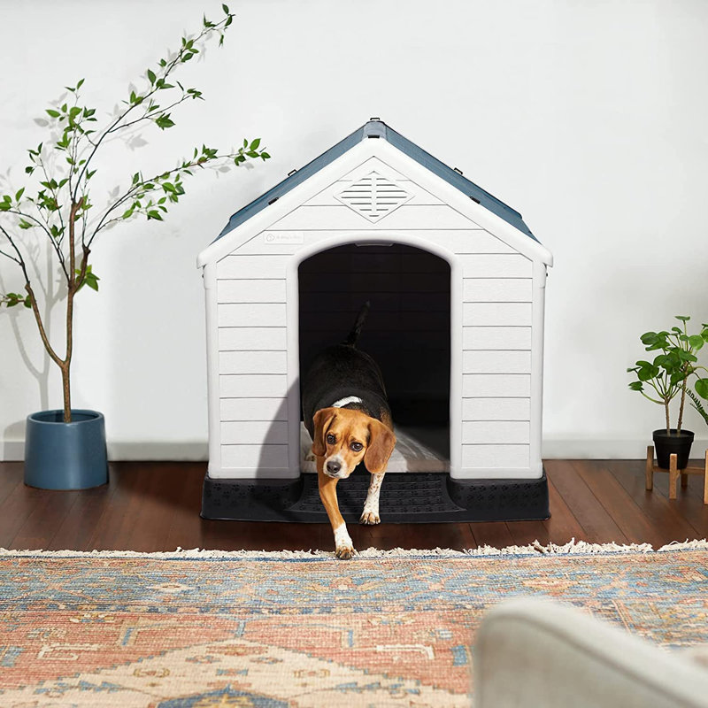 Niche pour chien en plastique Aunyae, H 39,5 po x l 38 po x P 42 po, Bleu