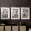 ANIMALS Series CXL - Impression encadrée sur mesure de qualité supérieure - 3 pièces-1465127812