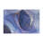 Vibrant Floral Print Non Woven Thin Type Decorative Rug Ideal for Adding a Burst of Color to Any Living Space-961901471