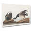 Brant Geese by John Audubon - Wrapped Canvas-55361845