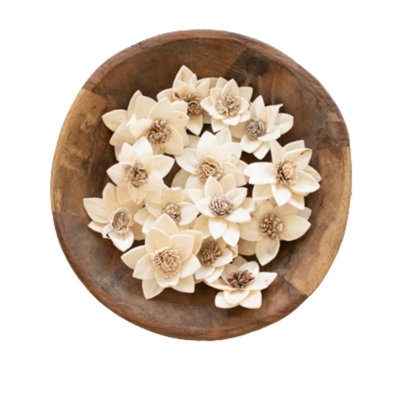  Dried Rukmani Flowers Set of 16 – 2.5" Tall Rustic Floral Fillers