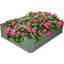 Lit de jardin surélevé en métal Sacia-70485700-70485754