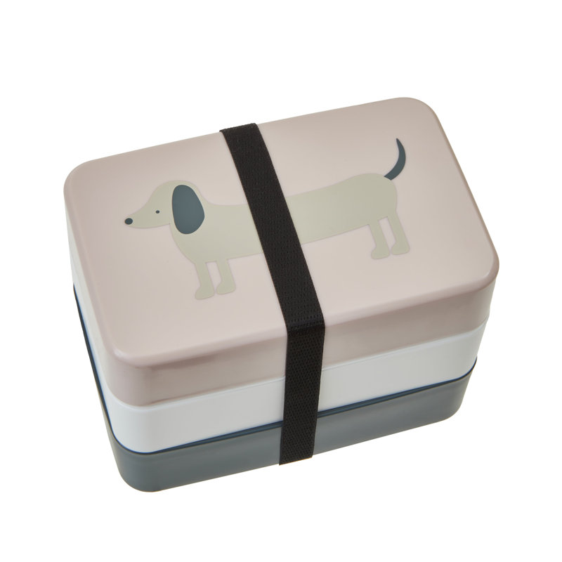 Dajun Food Storage Container