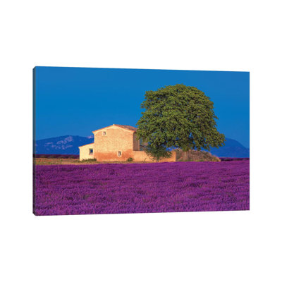 France, Provence. Lavender Field In The Valensole Plateau. by Jaynes Gallery - Wrapped Canvas Gallery-Wrapped Canvas Giclée