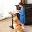 Table d'appoint en forme de C pour canapé, table de bout réglable en hauteur avec base en métal robuste, plateau de bureau pliable pour ordinateur portable pour petits espaces, lit, canapé, salon, bureau, design minimaliste moderne, naturel