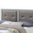 Elegant Transitional Full Bed In Silver Champagne