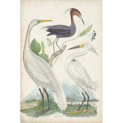 Antique Heron & Waterbirds III - Painting