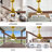 Alessandra Ceiling Fan-1879622969-1930603222-1879622961