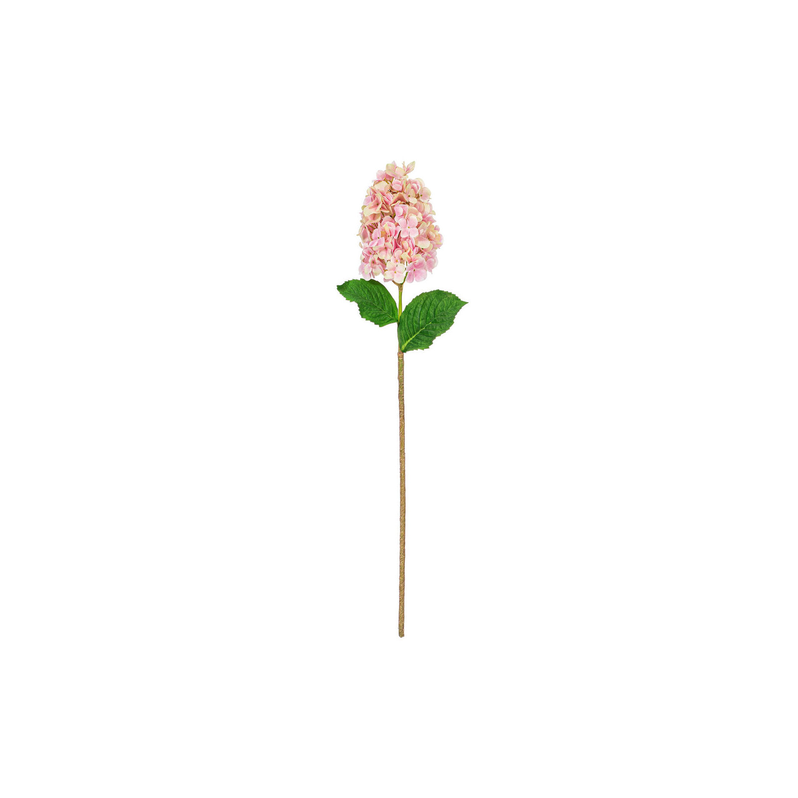 Lavender Stem, Pink