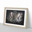 Eye Of The Tiger Paint Splash - Picture Frame Graphic Art-56915756-56915757