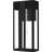 Boswell 1-Light Matte Black Outdoor Wall Lantern-708765456