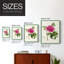 Impression encadrée PrettyPinkBotanicalsI-Premium - prête à être accrochée - aucun clou requis - aucun clou requis-1909328009-1909328020