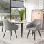 Astare 42 cm H Velvet Armchair-2027581123