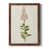 Maple Framed