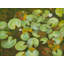 II par Ruth Hayes - Peinture-65849340-132457121