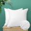 Coussins décoratifs d'extérieur - Paquet de 2 coussins intérieurs résistants à l'eau pour coussins décoratifs imperméables