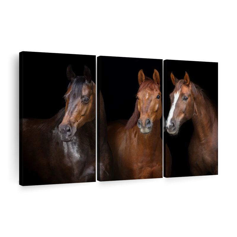 Animal «Brown Stallion Horses Canvas Print» sur, H 42 po x l 65 po x P 1,25 po