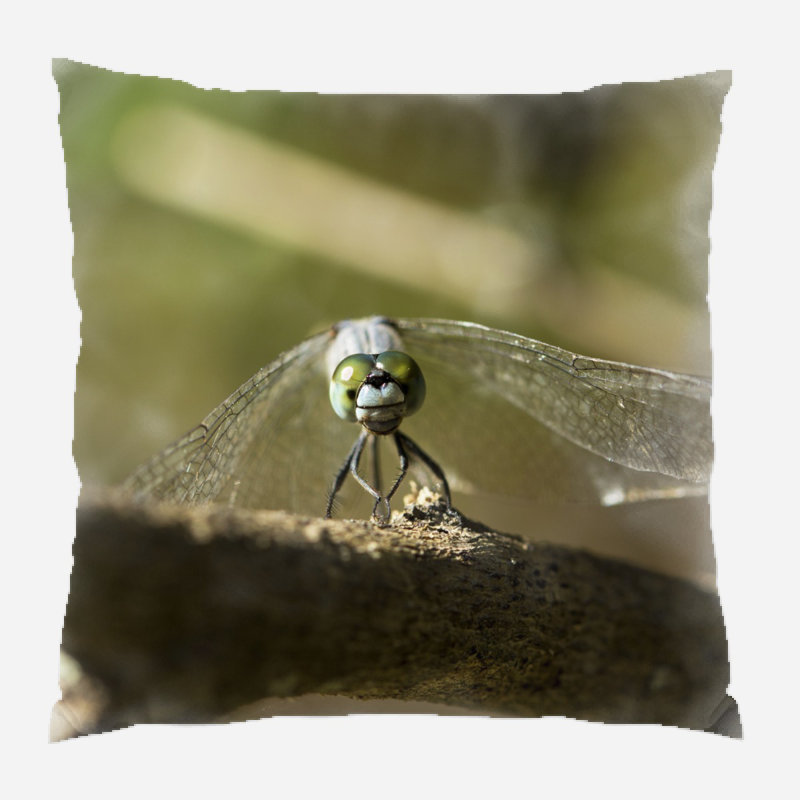 Coussin décoratif Madalena, Microsuède, Intérieur