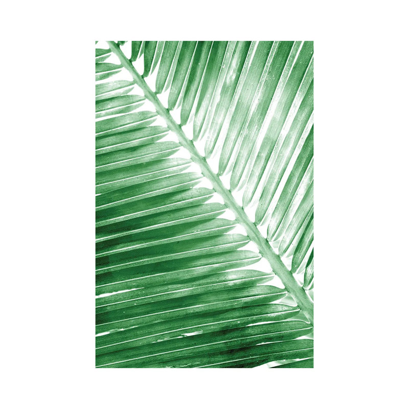 Tropical II by Kimberly Allen - Wrapped Canvas Print, 20.32 cm H x 30.48 cm W