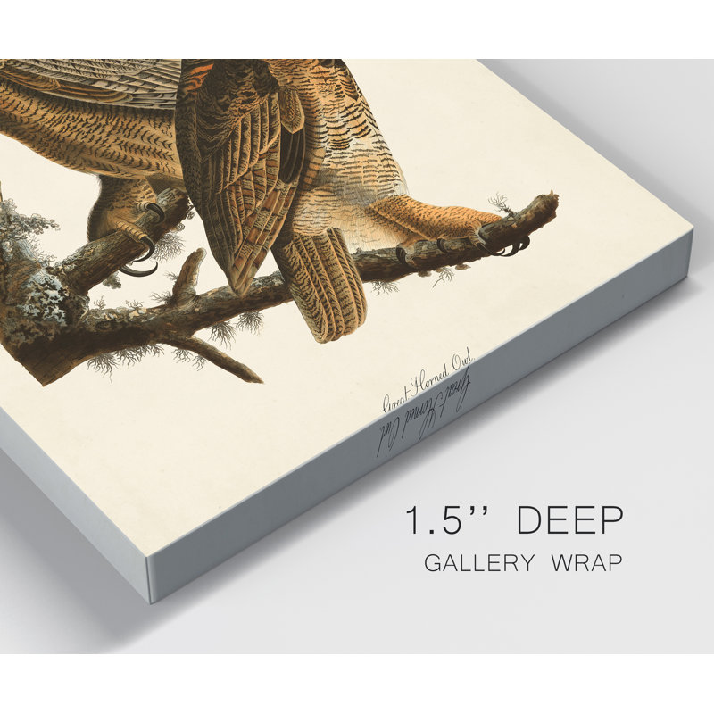 Pl 61 Great Horned Owl - Reproduction d'art sur toile tendue, H 27 po x l 18 po x P 1 po