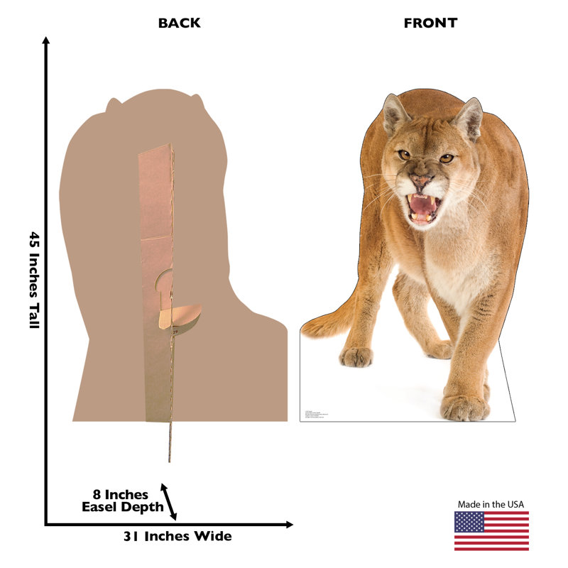 Cougar
