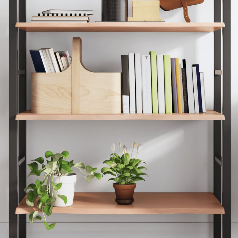 Clintonpark Oak Solid Wood Floating Shelf, 2 cm H x 100 cm W x 40 cm D