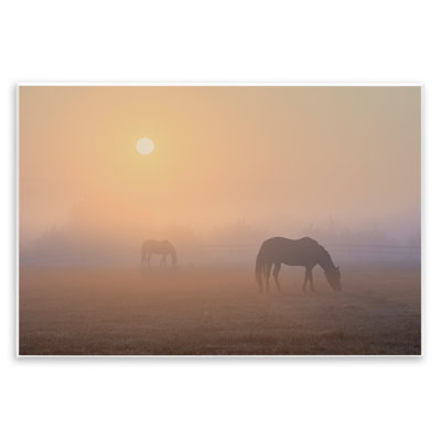 Art mural Misty Sunlit Horses par Marty Hulsebos