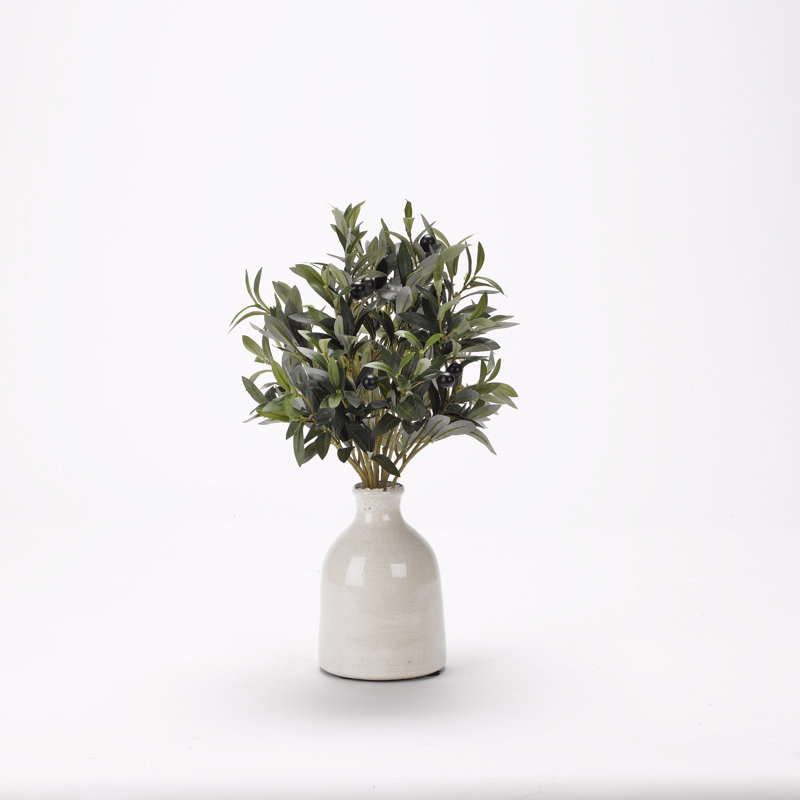 Olive pulvérisée dans une bouteille en céramique
