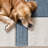 Marshawna Stylish Blue Cream Checkered Indoor Area Rug-208026258