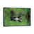 Black Framed is unavailable