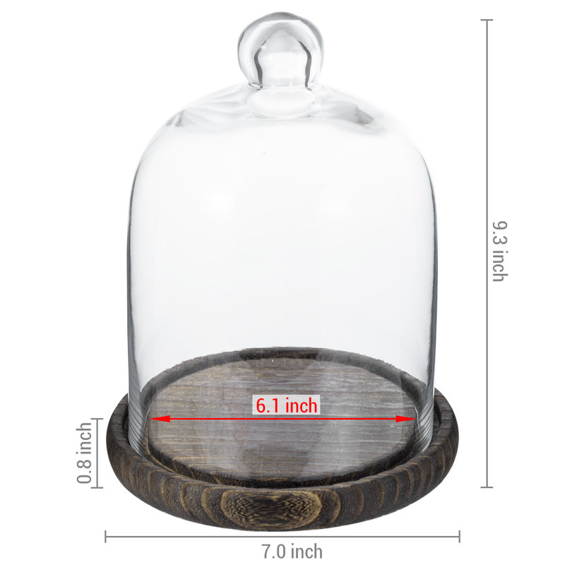 Vidu Display Clear Cloche with Wood Base