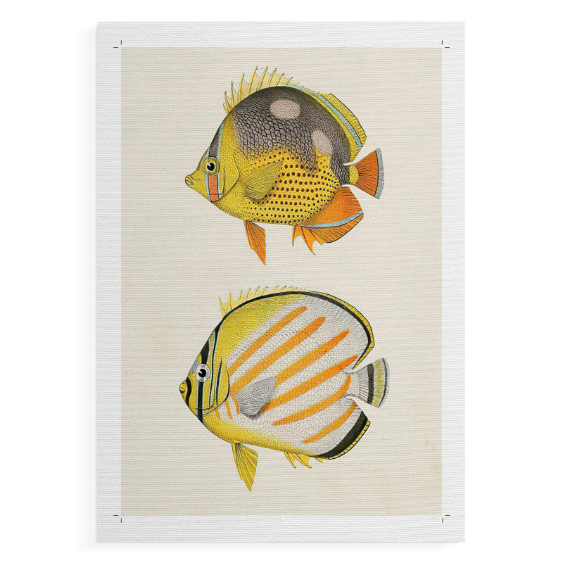 Poisson jaune et gris IV - reproduction de toile seulement - non encadrée, H 12 po x l 8 po