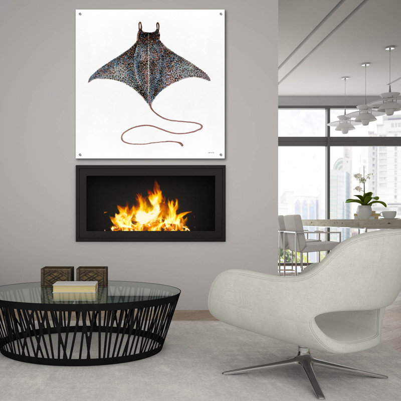 'Eagle Ray 2' by Stellar Design Studio, Acrylic Glass Wall Art, 36" H x 36" W x 0.2" D