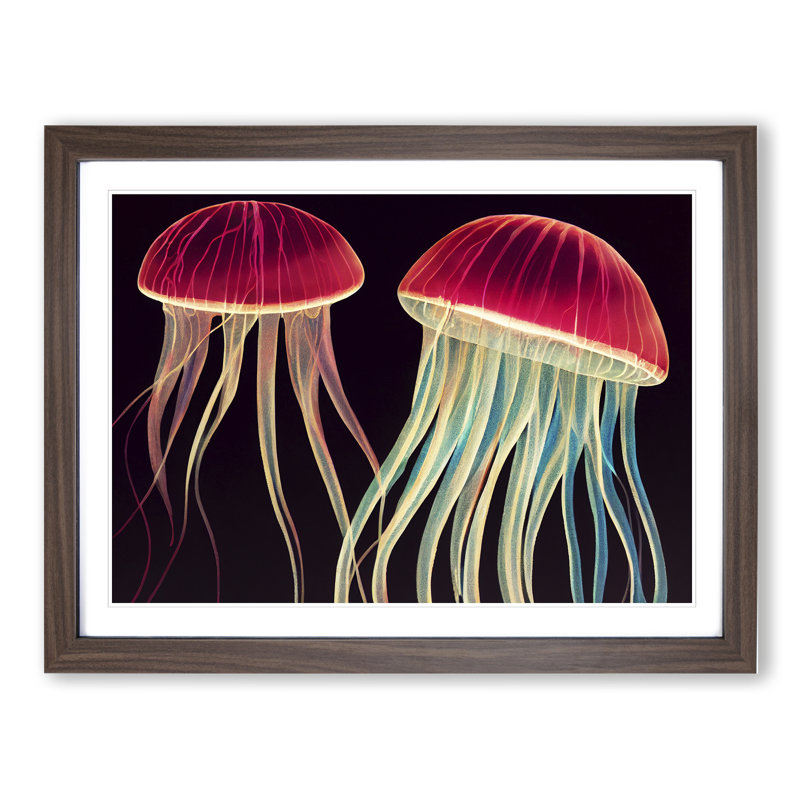 Two Jellyfish - Single Picture Frame Print, 25cm H x 34cm W x 2cm D, Walnut