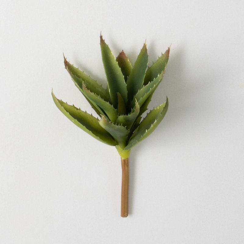 Choix succulent 11,5 "agave artificiel