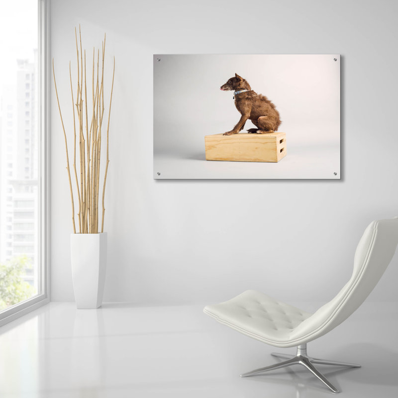 «Side Eye» par Susan Sabo, H 24 po x l 36 po x P 0,2 po