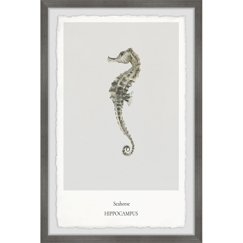 The Hippocampus - Single Picture Frame Print, 30cm H x 20cm W x 3.81cm D