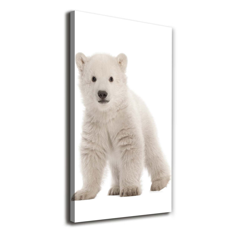 A Polar Bear - Wrapped Canvas Print