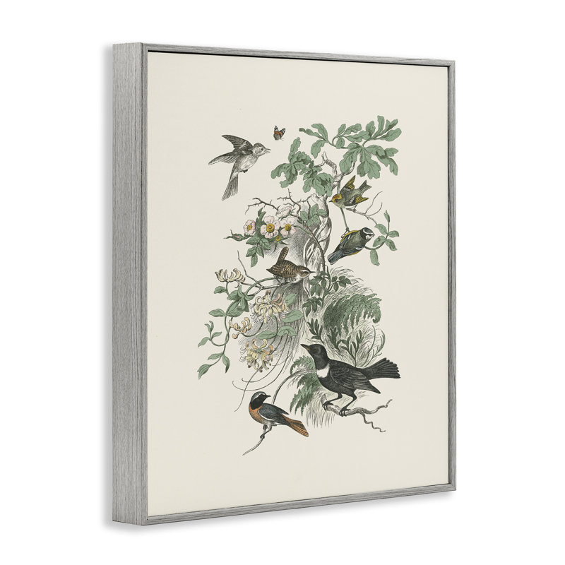 Oiseaux variés dans la nature rétro, estampe numérique, design par Wild Apple Portfolio, 30" H x 24" W