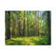 No Frame Print on Canvas