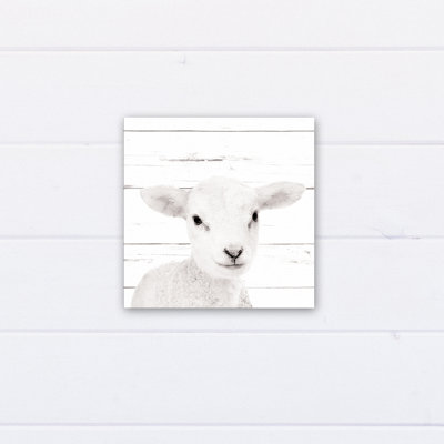 Canvas Art