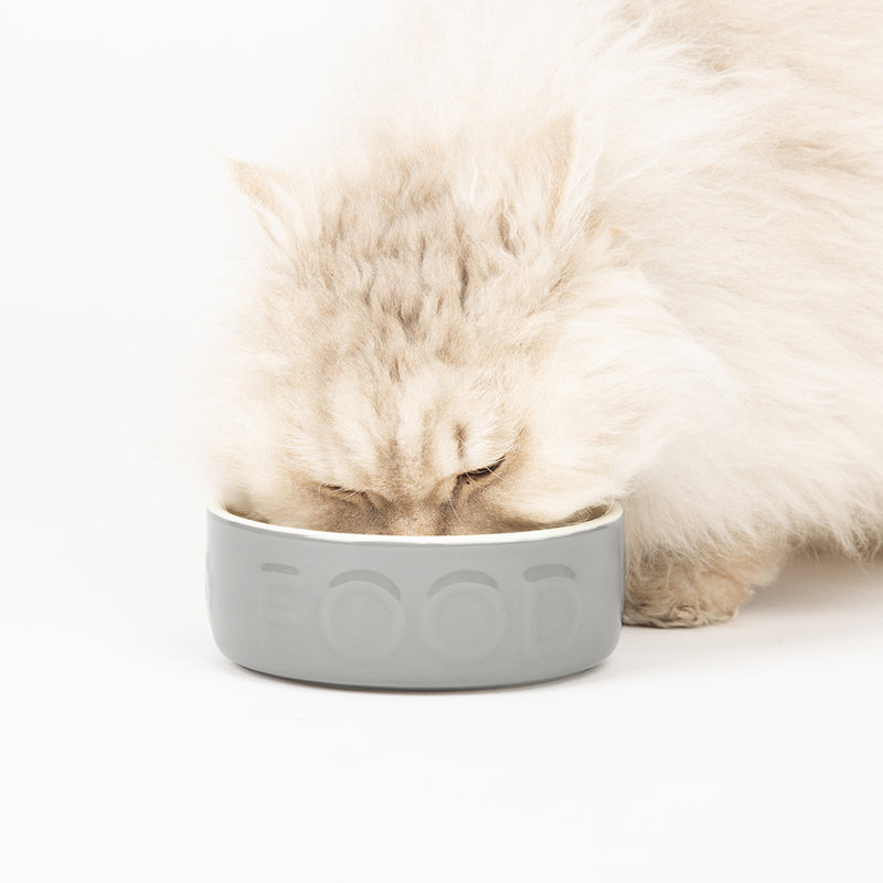Pet Bowl