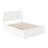Henrichs Kids with Trundle-286466467-303441989