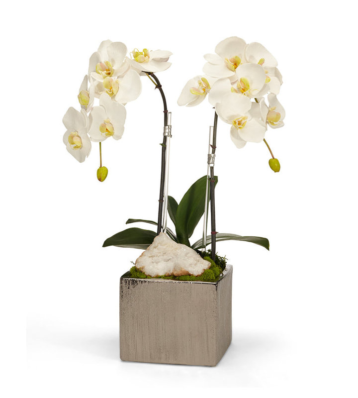 Orchid Faux Floral in Planter, White