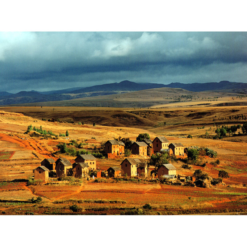 Madagascar, H 13 po x l 18 po