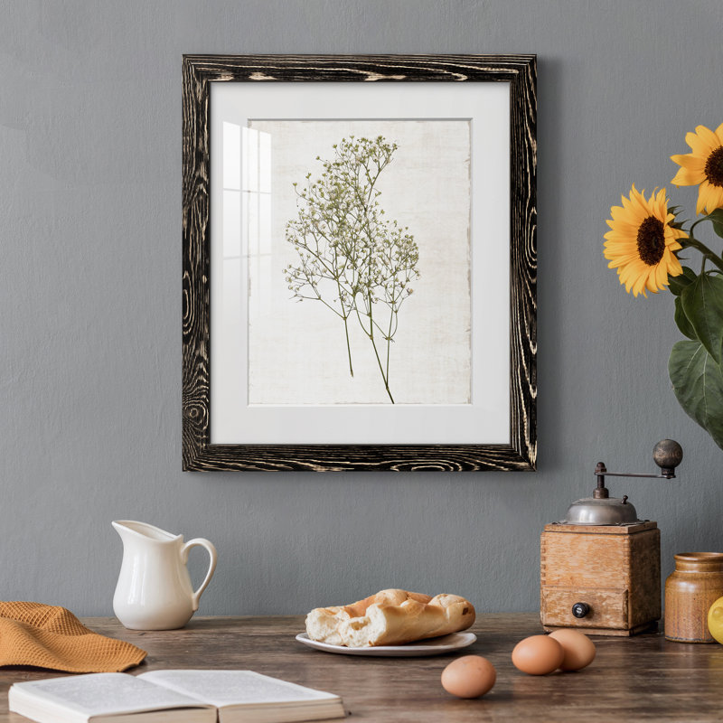 Farmhouse Pressed Flower I - peinture encadrée, H 20 po x l 17 po x P 1,5 po, Cadre noir