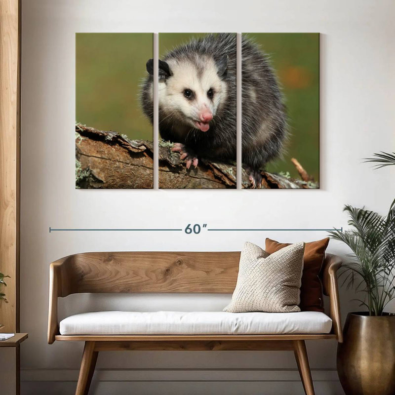 Bramble Angry Opossum, H 32 po x l 50 po