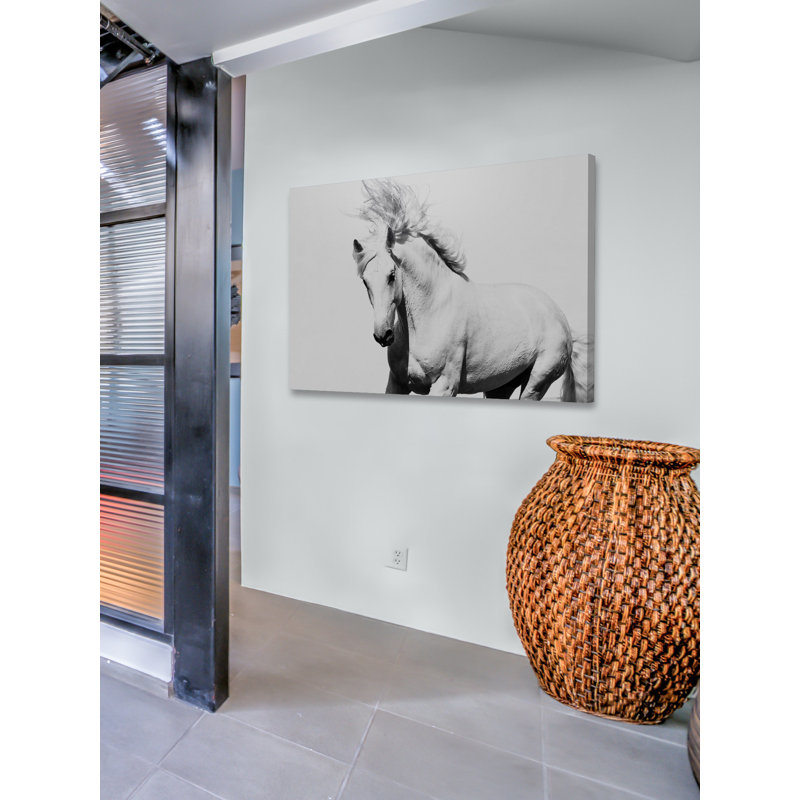 Horse Running - No Frame Print, 41cm H x 61cm W