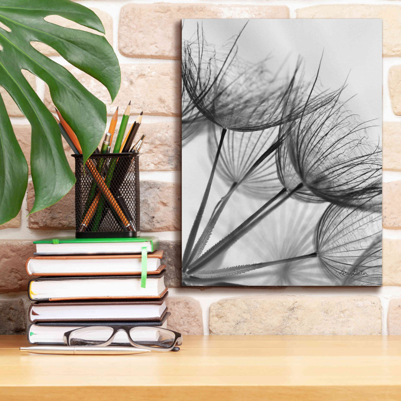 «Goatsbeard II» par Lori Deiter, art mural sur toile, H 16 po x l 12 po x P 0,75 po
